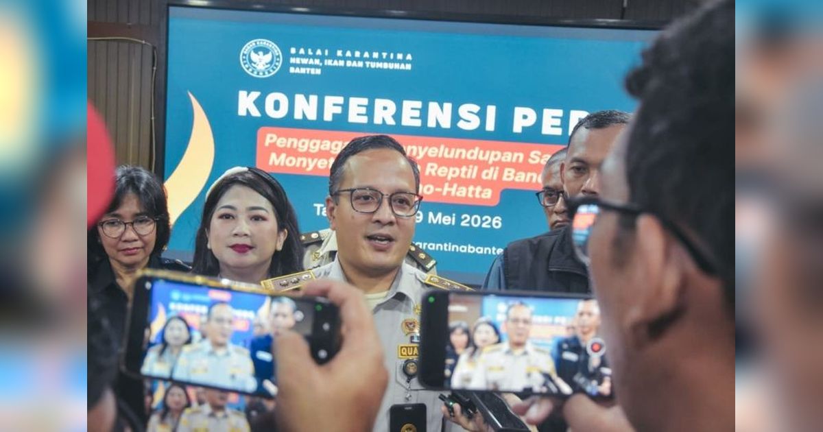 Terancam 10 Tahun Penjara, Pelaku Penyelundupan Satwa Liar Marmoset dan Bearded Dragon Ditangkap