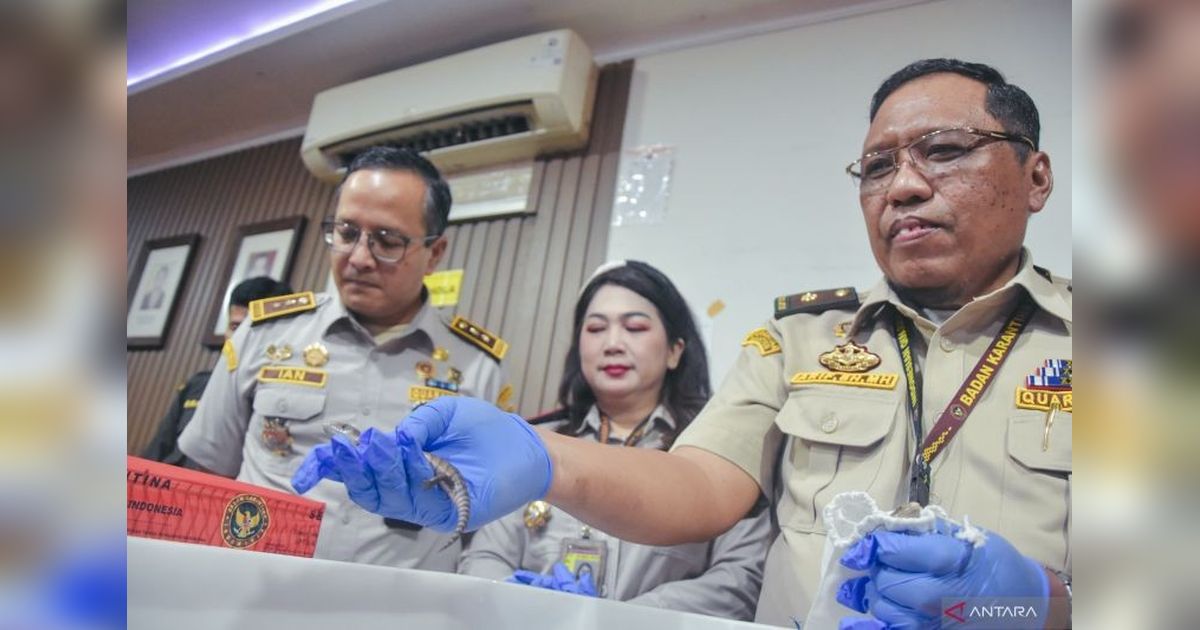 Barantin Gagalkan Penyelundupan Satwa Liar dari Thailand di Bandara Soekarno-Hatta