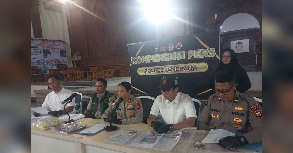 Polres Jembrana Bekuk Dua Pelaku Pemalsuan Dokumen Pengiriman Sapi, Terancam 6 Tahun Penjara