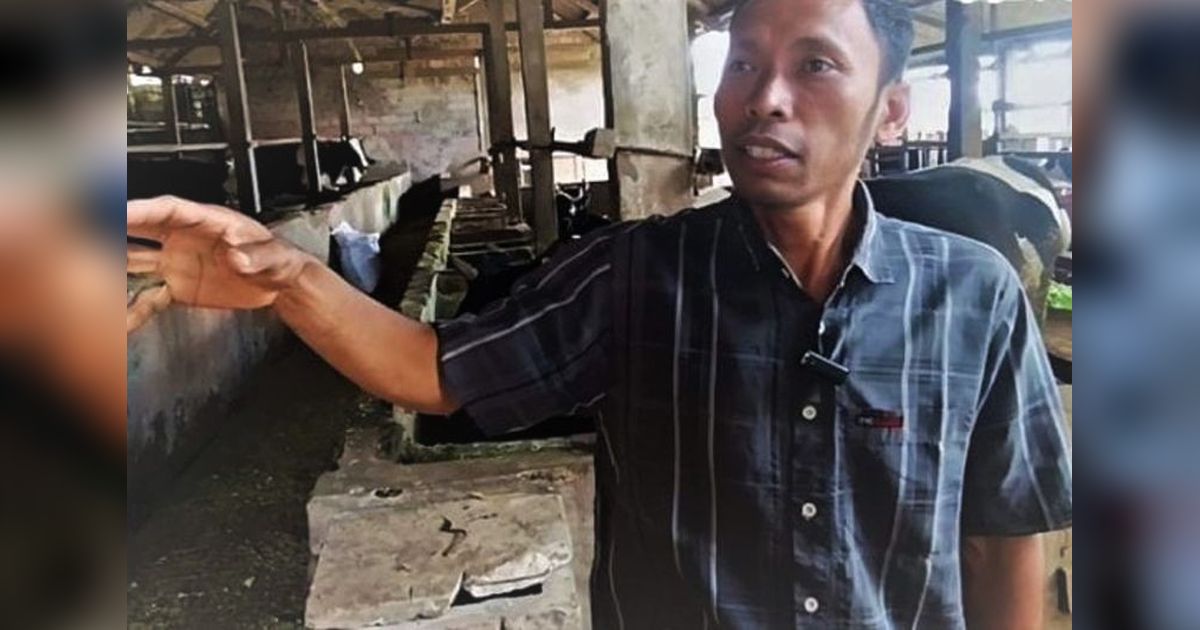 Inovasi Peternak Magetan: Ubah Kotoran Sapi Jadi Biogas untuk Energi dan Pupuk Organik