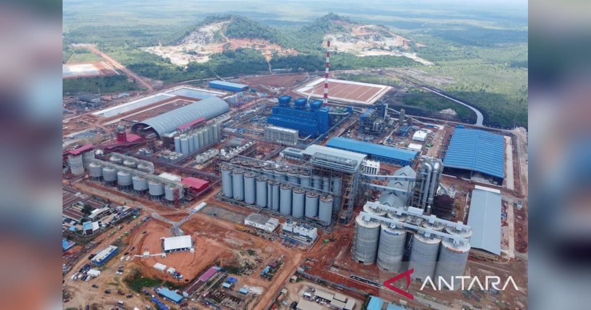 Pertumbuhan Ekonomi Kalimantan Barat Melaju Pesat 6,14 Persen, Tertinggi se-Kalimantan
