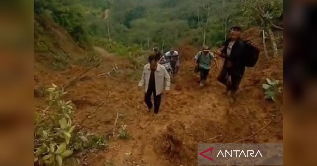 Pemkab Merangin Berupaya Buka Akses Desa Terisolasi Koto Rawang Pasca-Longsor