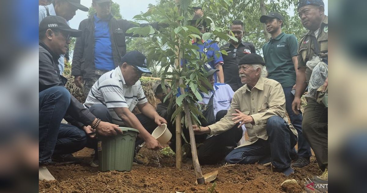 Kementerian Lingkungan Hidup Gandeng Buruh Hijaukan Hulu Bandung dengan 12.000 Pohon