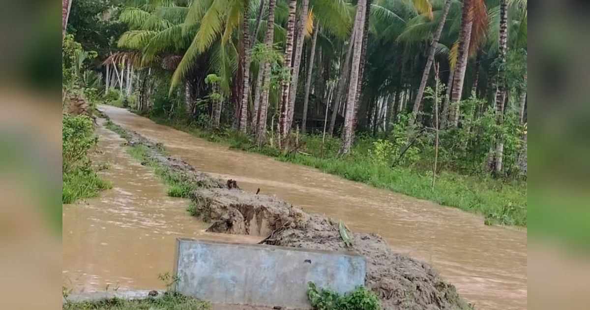 Dua Desa di Parigi Moutong Terendam Banjir, BPBD Sulteng Lakukan Penanganan Darurat