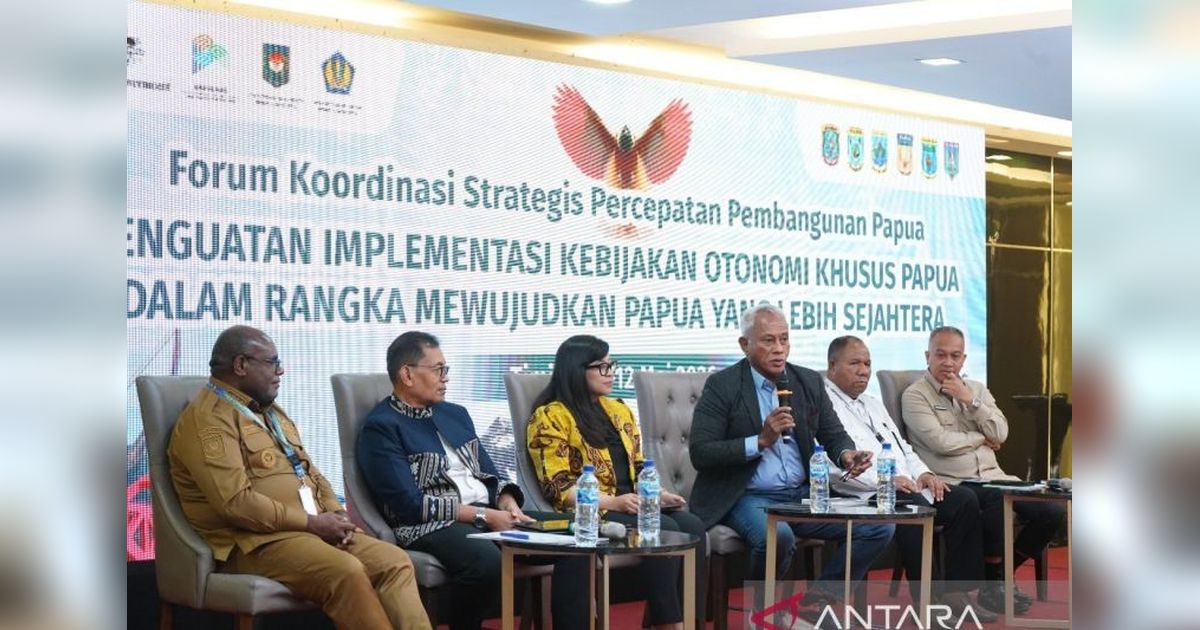 DPR RI Tekankan Kapasitas Tata Kelola Kunci Utama Keberhasilan Otsus Papua