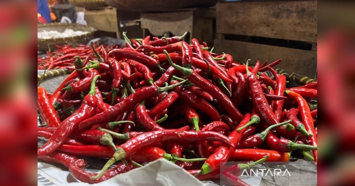 PIHPS Nasional Rilis Harga Pangan Nasional Terkini: Cabai Rawit Tembus Rp73.500/Kg