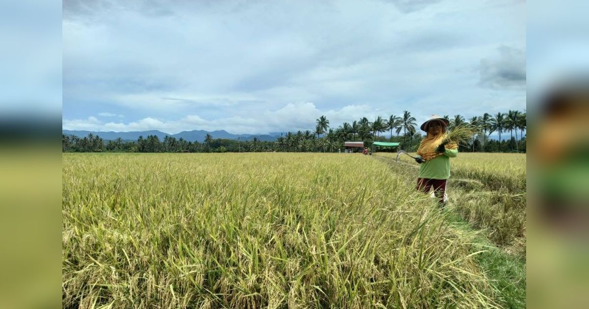 BI Perkuat Ketahanan Pangan Sulut Melalui Pemberdayaan Petani dan UMKM
