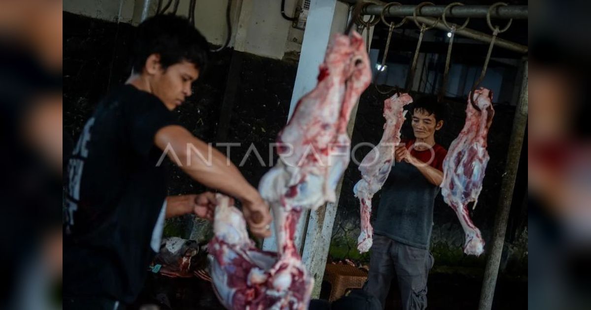 Tarif Potong Hewan Kurban RPH Bayur Tangerang Tetap Rp60 Ribu, Fasilitas Modern Siap Layani Warga