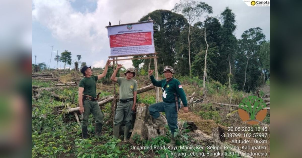 TNKS Temukan 80 Hektare Lahan di Rejang Lebong Dirambah, Upaya Pemulihan Ekosistem Digenjot
