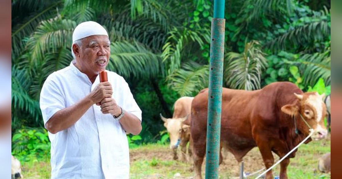 Prabowo dan Gibran Salurkan Sapi Kurban ke IKN, Total Hampir 3 Ton
