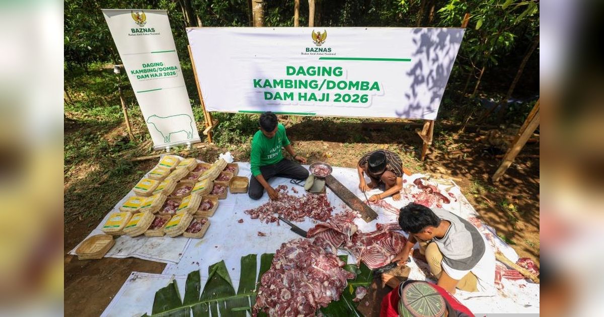 Baznas Salurkan Dam Haji 2026: 1.240 Kambing untuk Mustahik dan Pemberdayaan Peternak Lokal