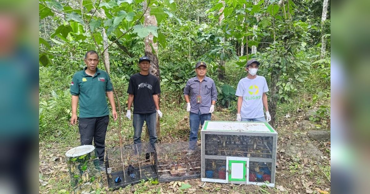 Sinergi Aparat Gagalkan Pengiriman Burung Ilegal 203 Ekor di Tol Trans Sumatera