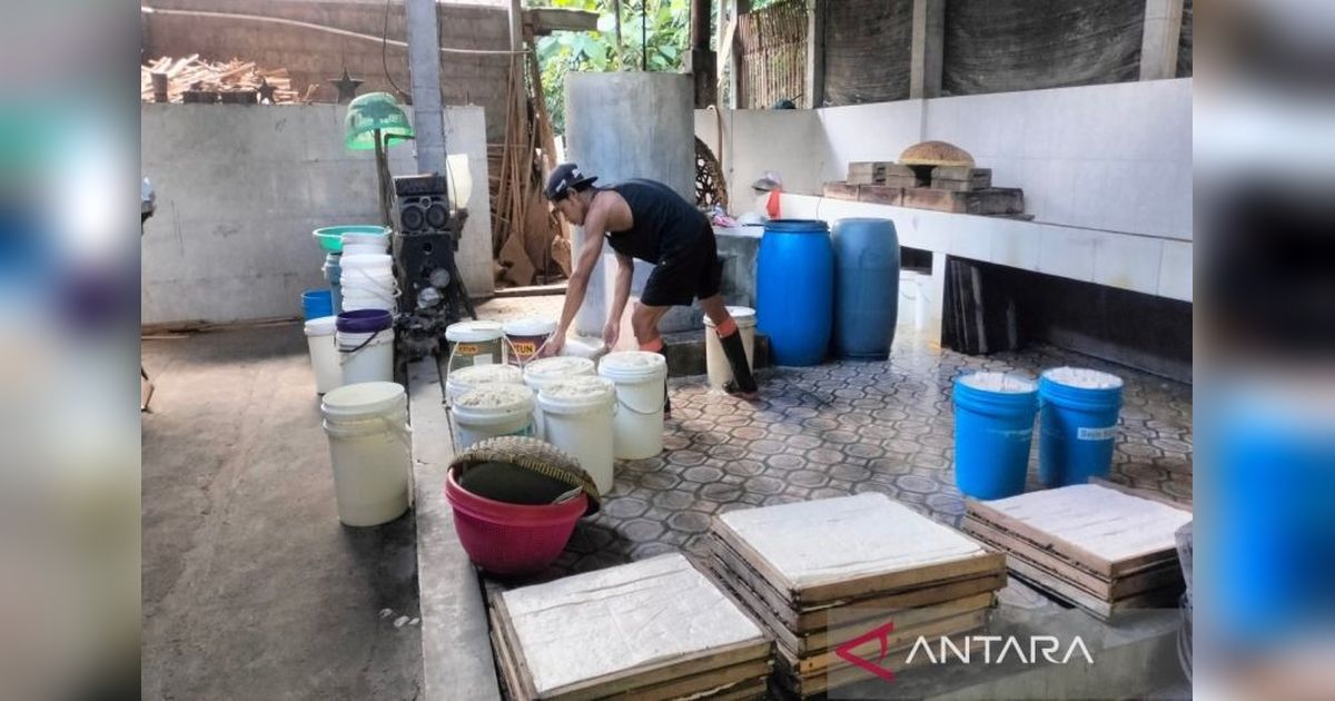 Ketahanan Perajin Tahu Kulon Progo: Bertahan di Tengah Badai Harga Bahan Baku
