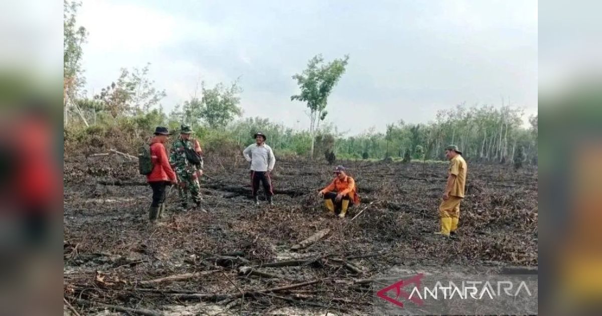 Karhutla Sumsel Januari-April 2026 Capai 182,54 Hektare, Lampaui Dua Tahun Sebelumnya