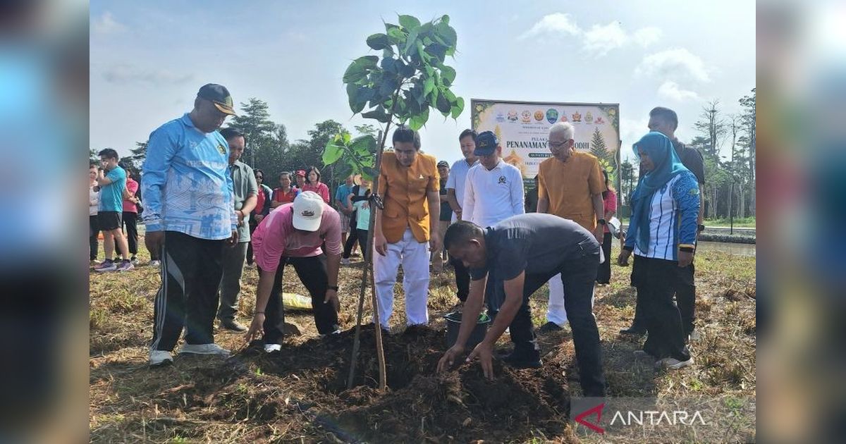 Rayakan Tri Suci Waisak 2570 BE, Umat Buddha Bulungan Tanam Pohon Bodhi di Kebun Raya Bundayati