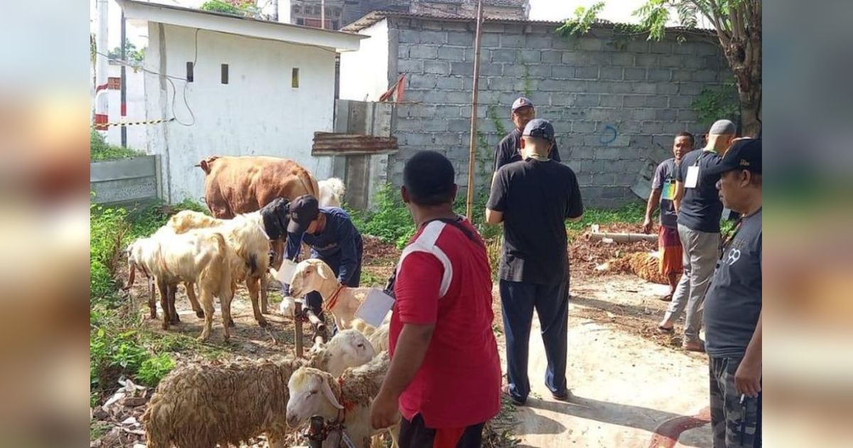 Perputaran Ekonomi Idul Adha di Probolinggo Capai Rp25,3 Miliar, Dorong Sektor Peternakan