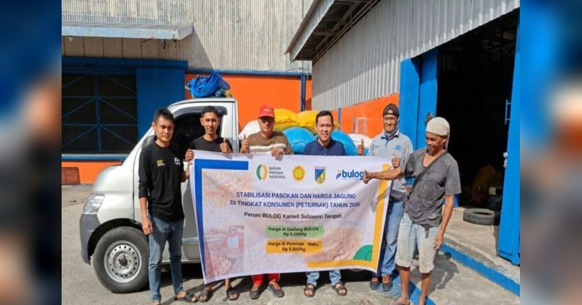 Bulog Salurkan Jagung Pakan Ternak Lewat SPHP, Stabilkan Harga di Sulawesi Tengah