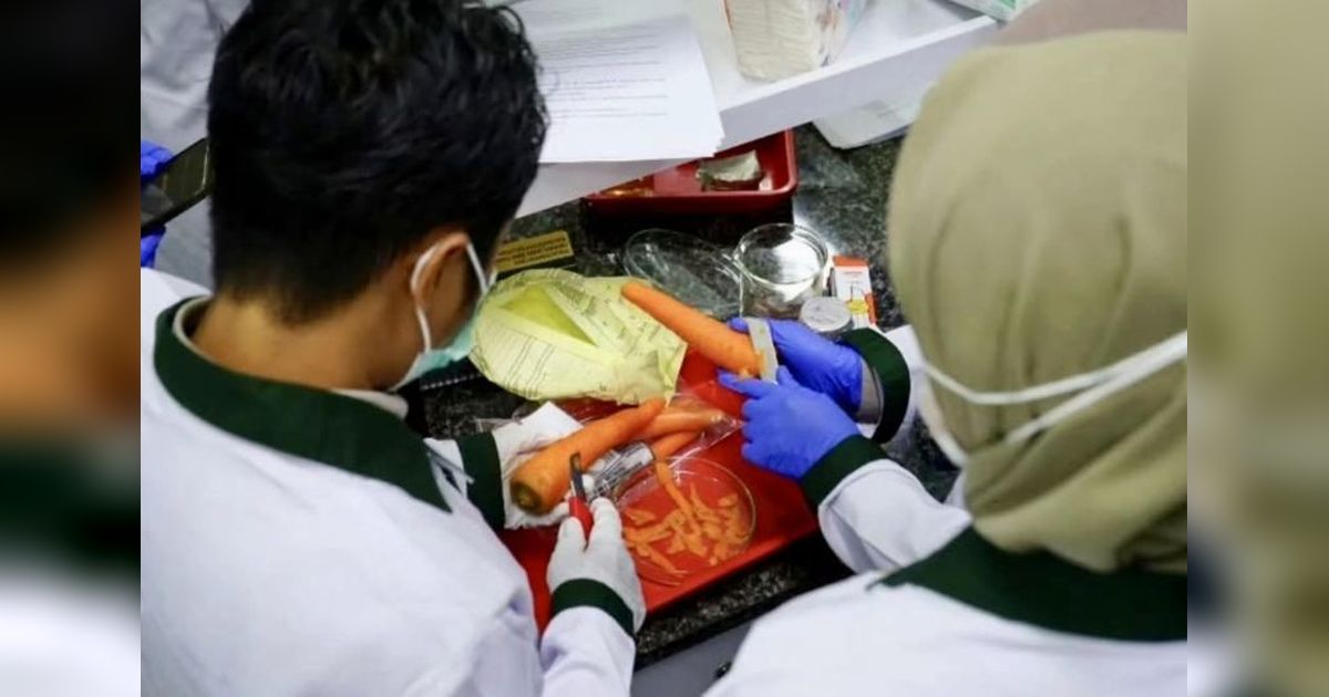 Karantina dan BBPOM Perkuat Keamanan Sumber Daya Hayati Kalsel Melalui Peningkatan Kompetensi