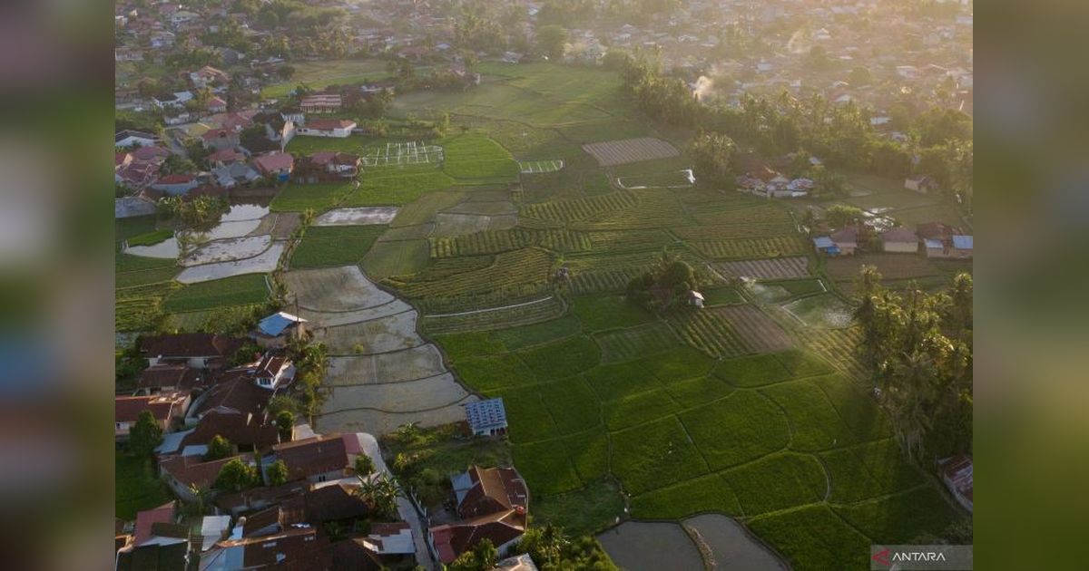 Pemkot Padang Tegaskan Pentingnya Keseimbangan Lahan Pertanian dan Investasi untuk Pembangunan Berkelanjutan