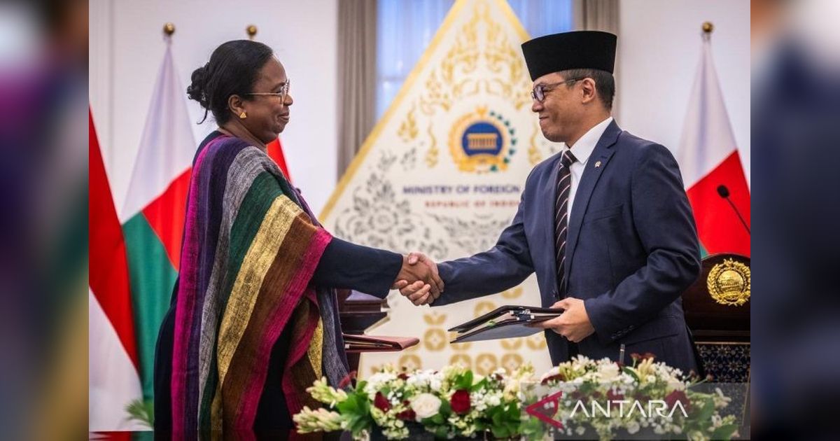 Indonesia Bidik Mineral Afrika Lewat Madagaskar, Perkuat Kerja Sama Indonesia Madagaskar