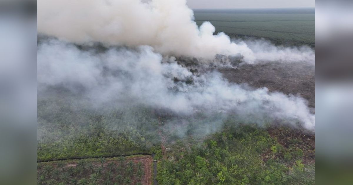 Manggala Agni Kemenhut Terus Berjuang Padamkan Karhutla Riau di Bengkalis dan Rohil