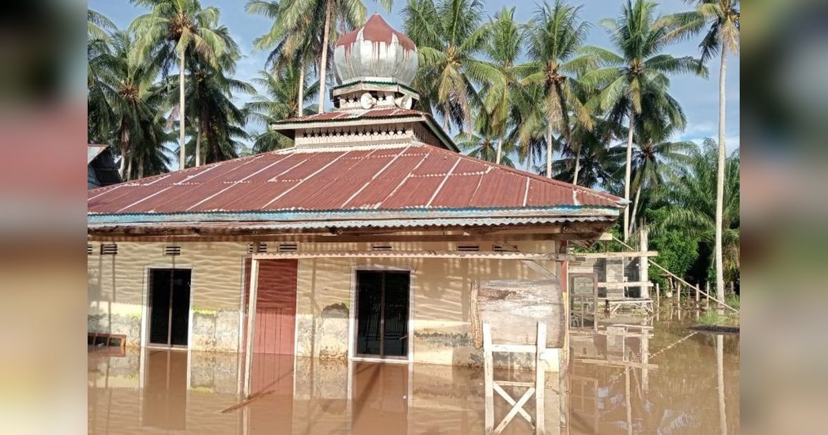 Banjir Buol: Empat Desa di Bukal Terendam, Ratusan Rumah Terdampak Hujan Deras