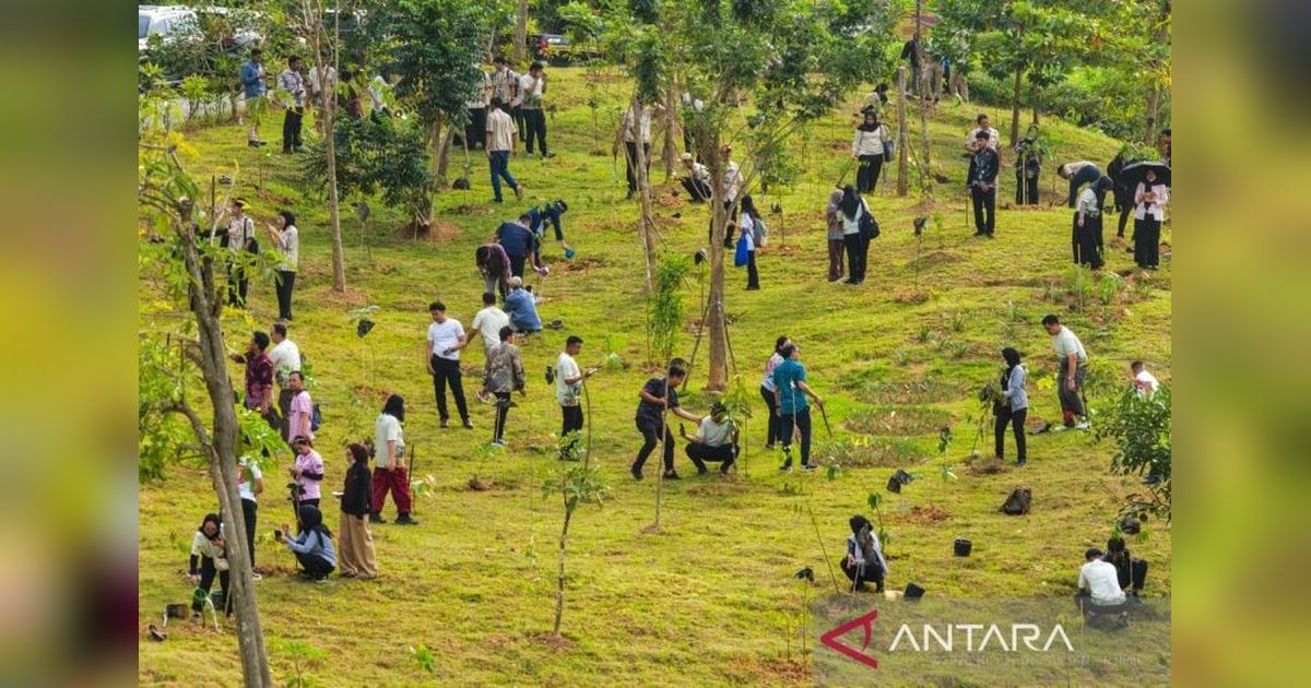 Otorita IKN dan Perbanas Perkuat Penghijauan dengan Penanaman 1.153 Pohon di Kawasan Inti