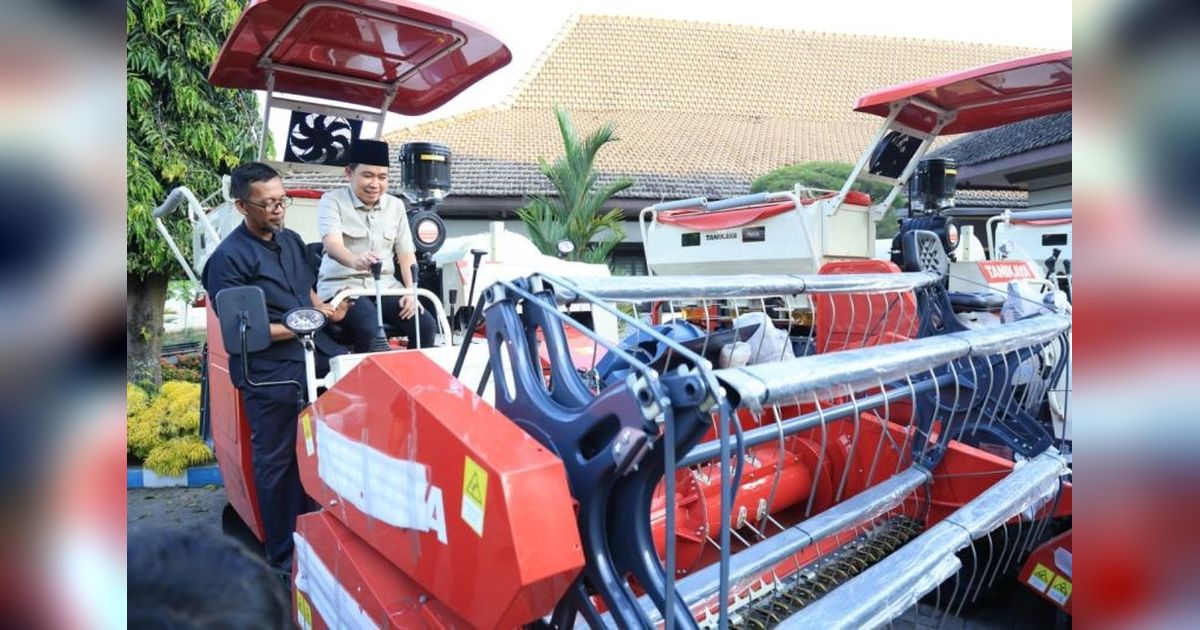 Pemkab Jember Perkuat Produksi Pangan Nasional Melalui Optimalisasi Lahan Pertanian