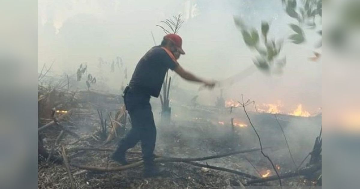 DLHK Babel Intensifkan MPA, Perkuat Pencegahan Karhutla Babel Hadapi Musim Kemarau Ekstrem