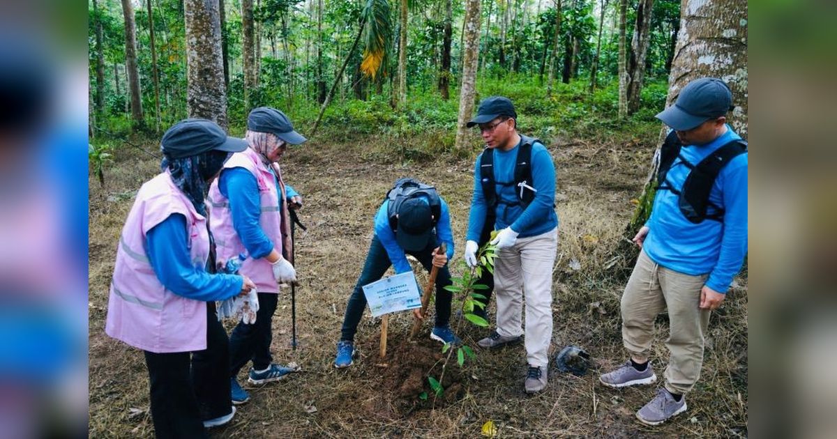 PLN Lampung Ajak Jajaran Aktif Jaga Lingkungan Hidup, Perkua