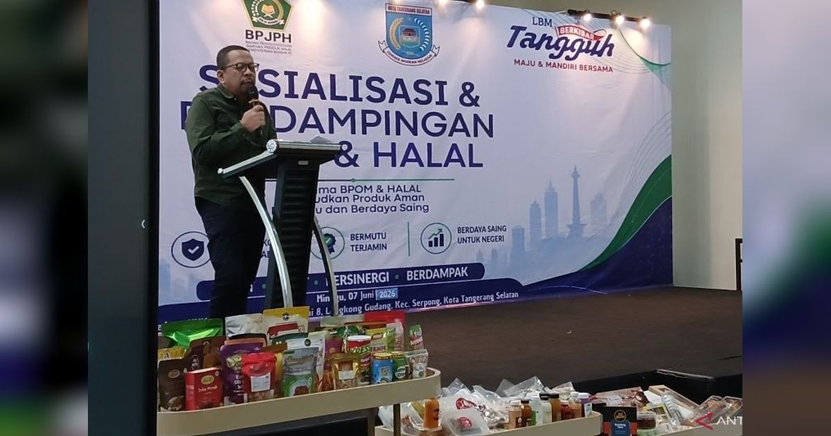 Pemerintah Dorong Penguatan UMKM untuk Stabilitas Ekonomi Na
