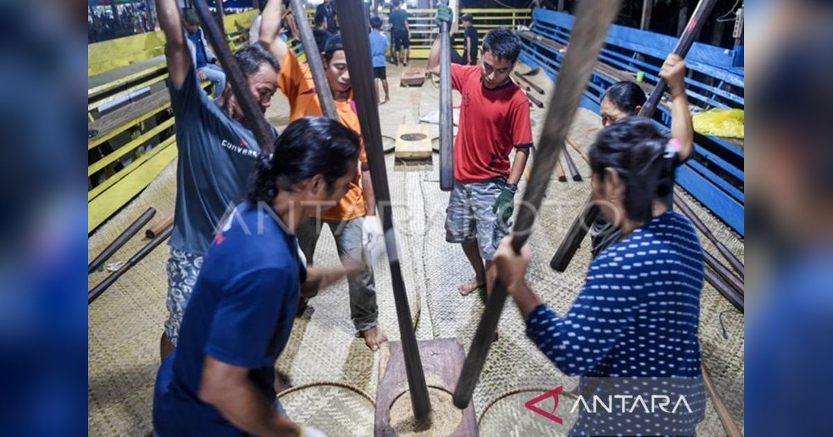 Nutuk Beham: Tradisi Syukur Panen Padi Masyarakat Adat Kutai