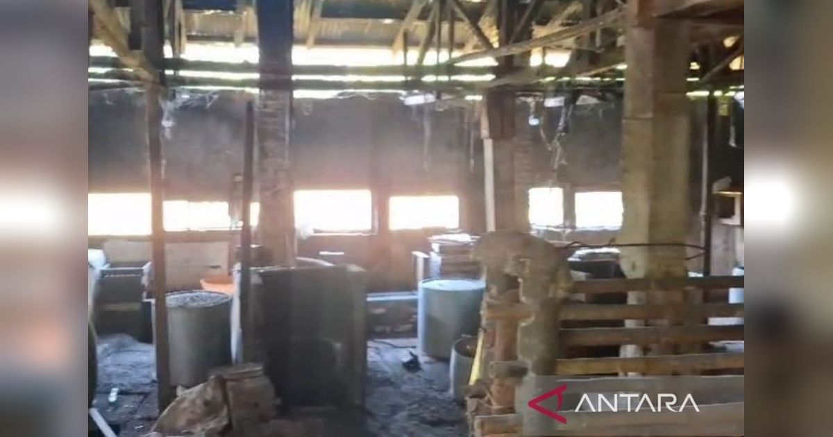 Kenaikan Harga Kedelai Cianjur Terkendali, Kopti Ungkap Tant