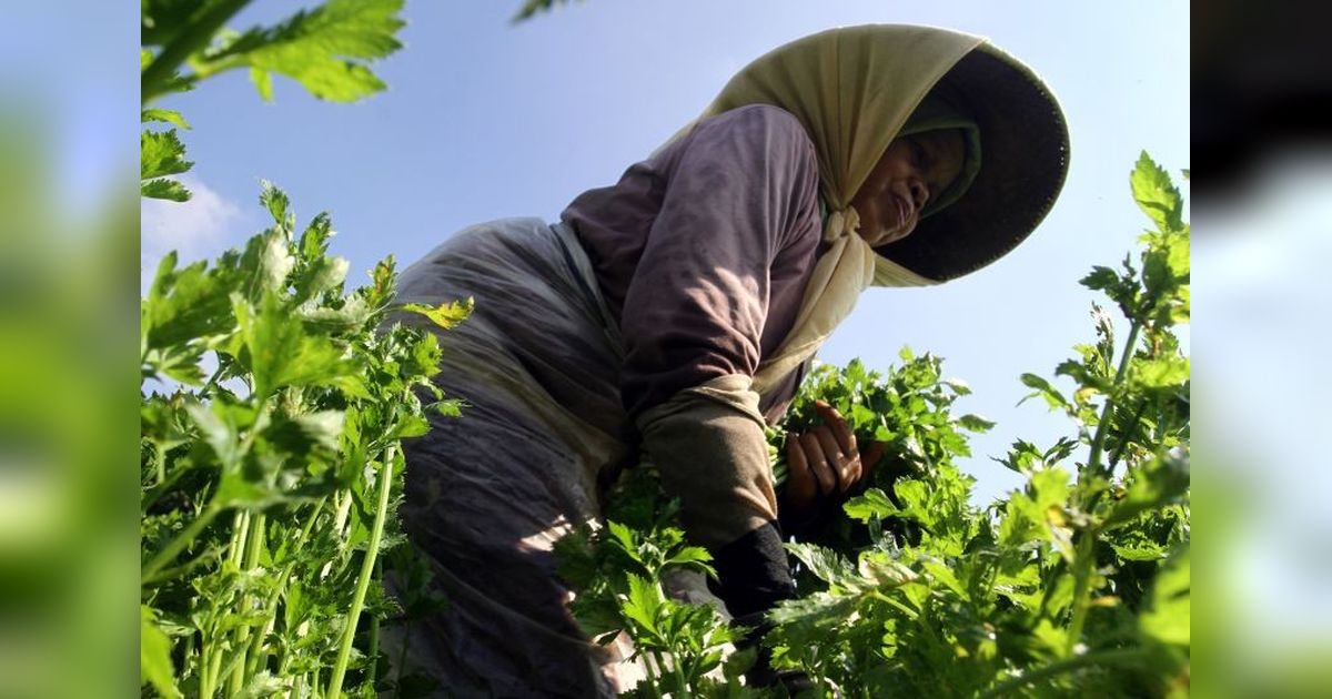 Pemkot Batu Genjot Optimalisasi Green House Pertanian untuk 