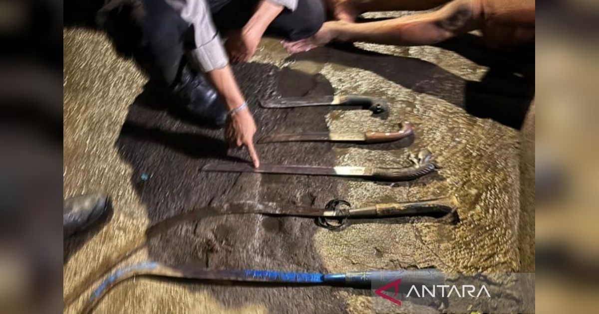 {{caption}}