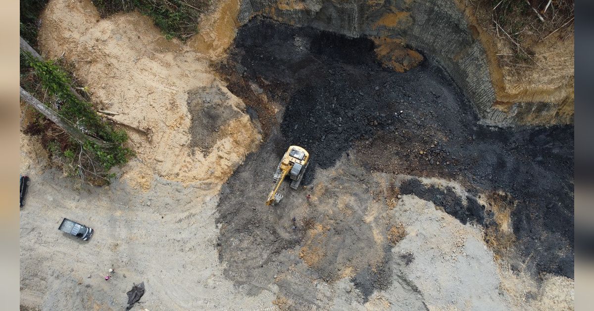 {{caption}}