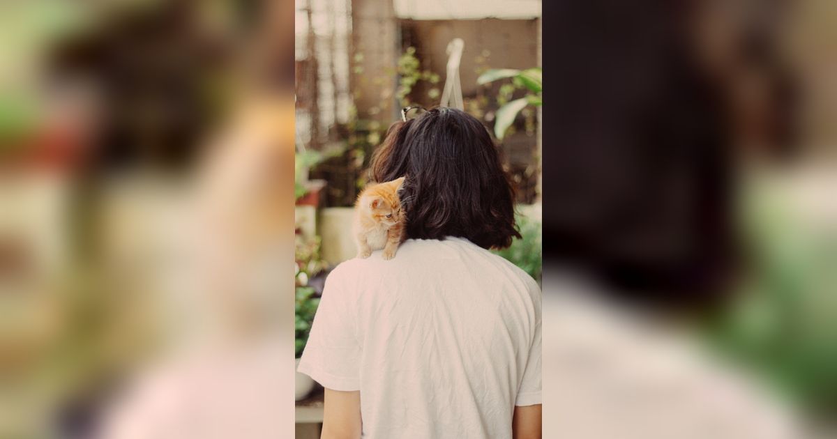 10 Rekomendasi Hewan yang Bisa Dipelihara Anak Kost, Bikin Stres Hilang