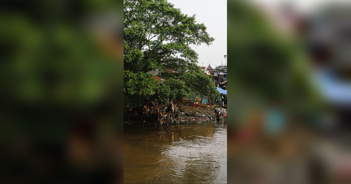 Gerombolan Makhluk Kecil Penunggu Kali Ciliwung Serang Permukiman di Depok, Warga Ada yang Digigit