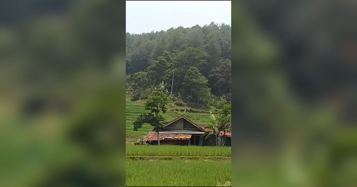 Kemarau Melanda, Desa di Cianjur Ini Tetap Punya Pemandangan Mengagumkan Bak di Eropa