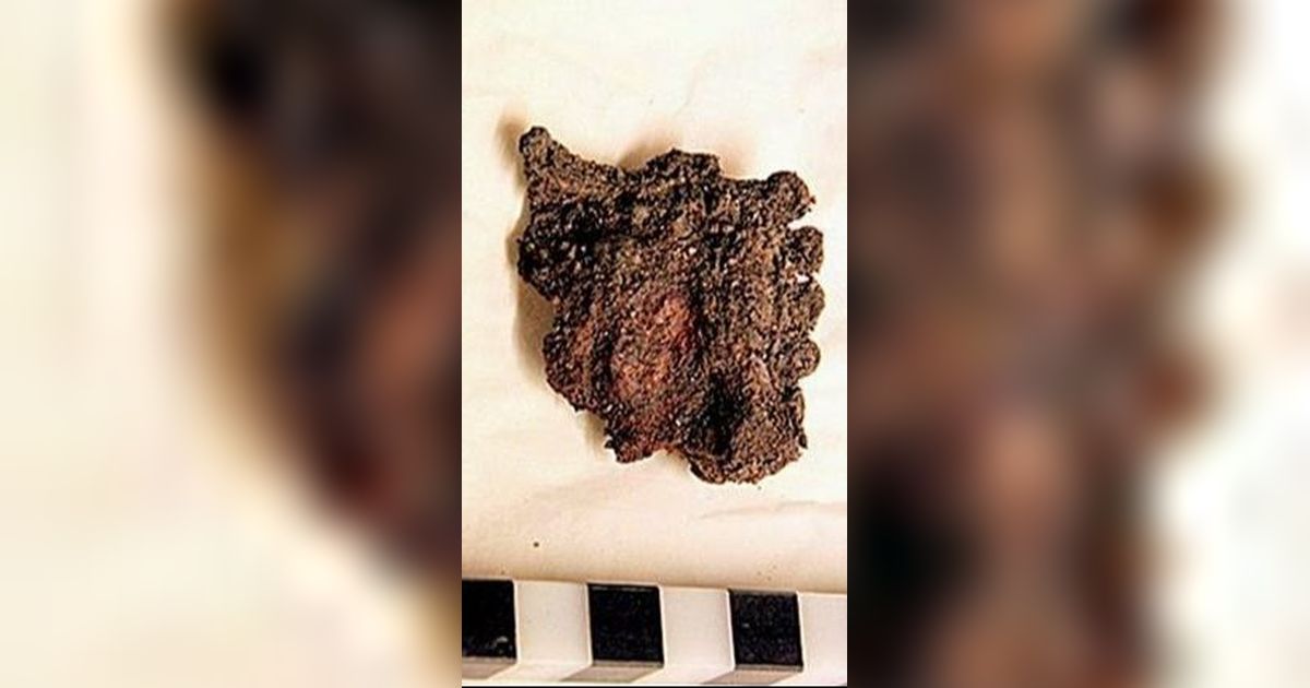 Penemuan Kepala Naga di Danau Bikin Arkeolog Berdebar, Ada Kaitannya dengan Bangsa Viking