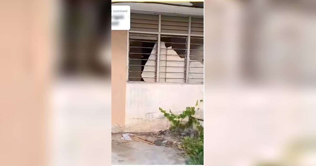 Transformasi Rumah Tua yang Menyeramkan, Berubah 180 Derajat Jadi Hunian Super Mewah, Ruang Tamunya Estetik Banget