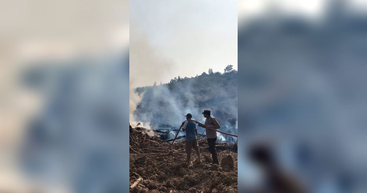 Karhutla Padam, Ini Momen Suka Cita Tim Manggala Agni Sujud Syukur sampai Lempar Helm di Tengah Hujan