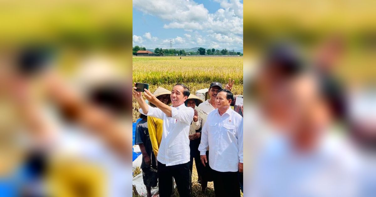 Jokowi soal Harga Beras Mahal: Semua Petani Senang