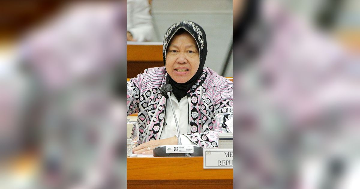 Punya 3 Inovasi Bantu Disabilitas, Mensos Risma Diapresiasi Penasehat Khusus AS di Forum Internasional