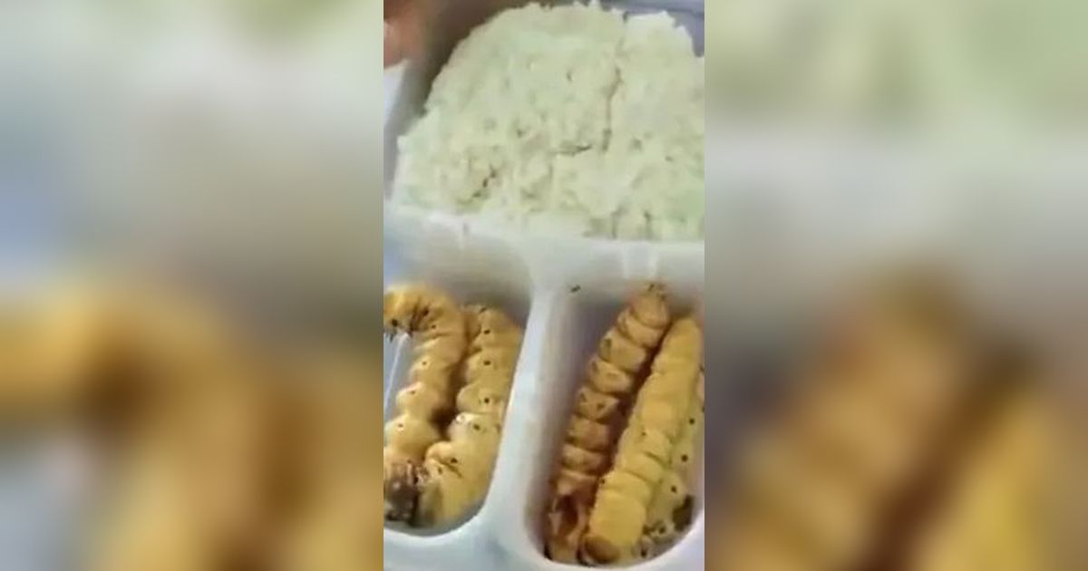 Viral Bekal Ulat Sagu Siswa Ini Bikin Teman Sekelasnya Geli, Padahal Ada Segudang Manfaat buat Kesehatan