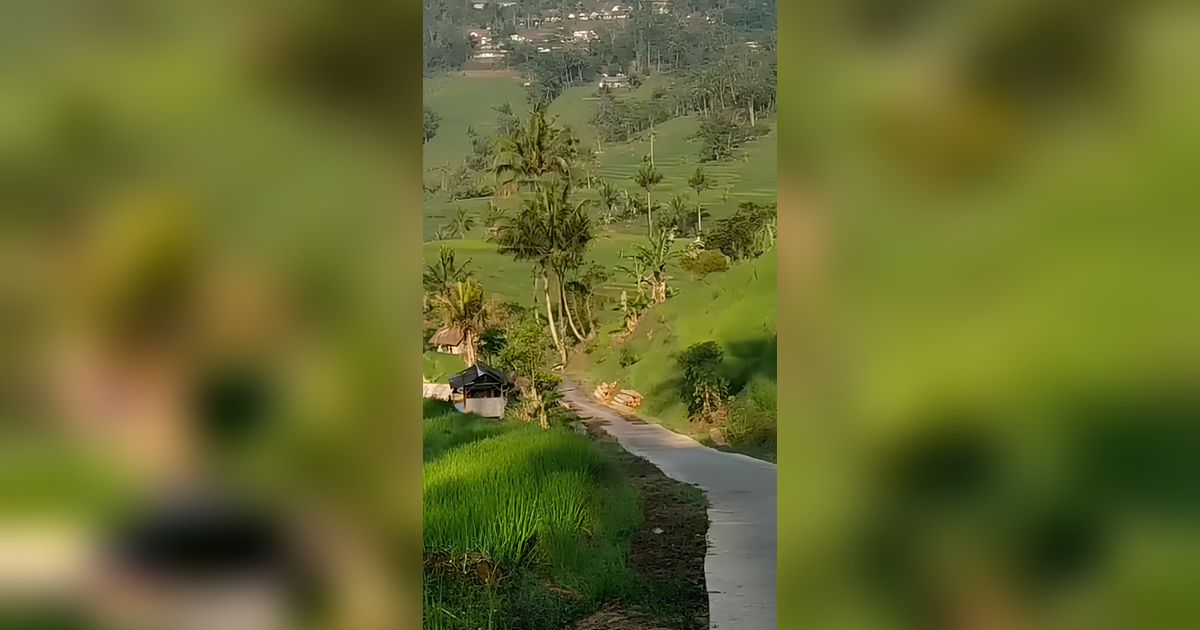 Disebut Mirip Eropa, Desa di Ciamis Ini Punya Jalan Indah yang Membelah Terasering Sawah