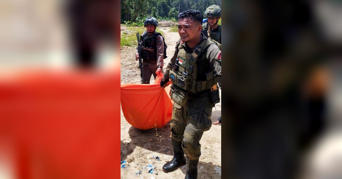 7 Jenazah Penambang Emas Korban Kekejaman KKB Papua dan 11 Korban Selamat Dievakuasi dari Yahukimo
