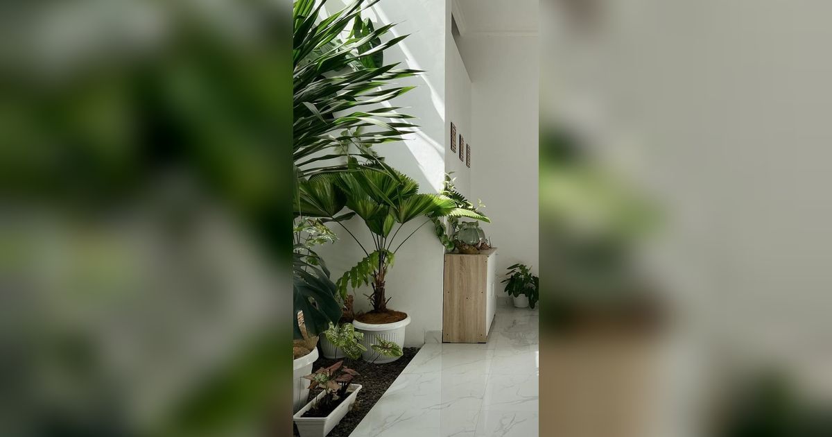 9 Potret Desain Taman di Tengah Rumah, Bikin Jadi Terang dan Asri