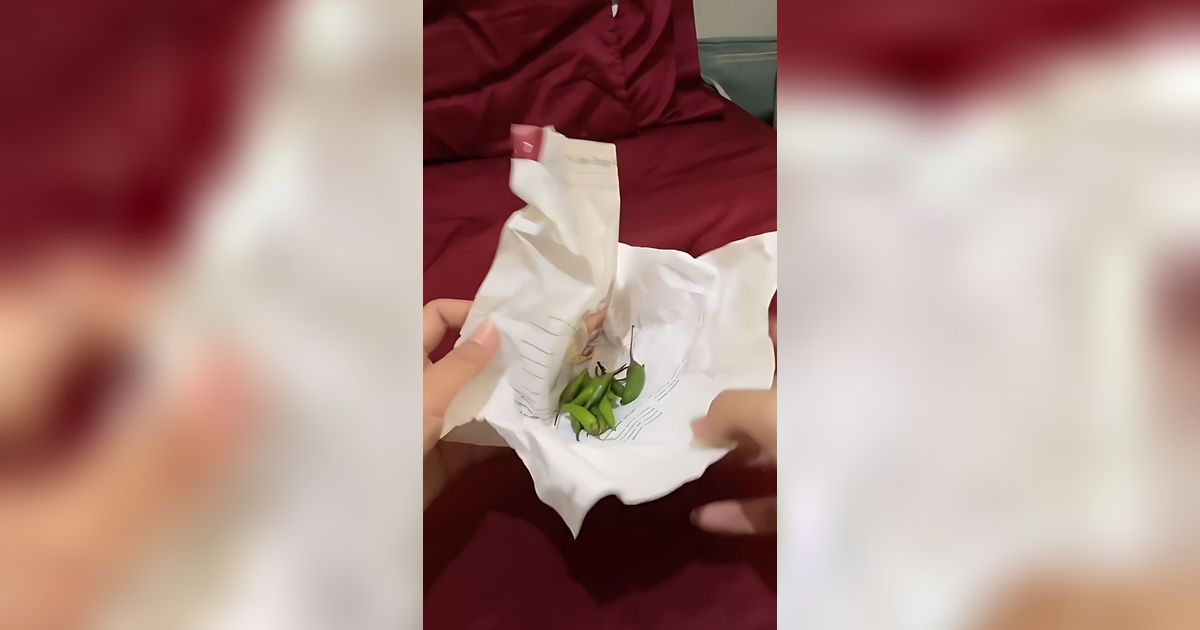 Momen Mahasiswa Syok dan Nangis Buka Bungkus Cabe Seharga Jutaan: 'Ibu Gak Tahu Harga Sobotta Ini, Bu?'