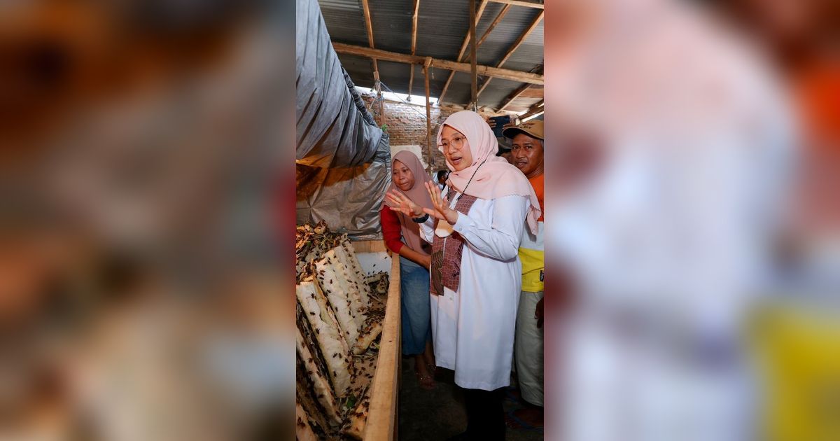 Dengan Modal Kecil,  Ibu-Ibu RT Desa Bagorejo, Banyuwangi Ternak Jangkrik untuk Tambahan Ekonomi Keluarga